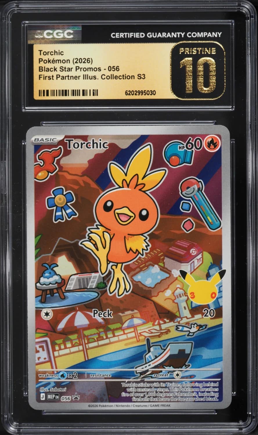 Torchic