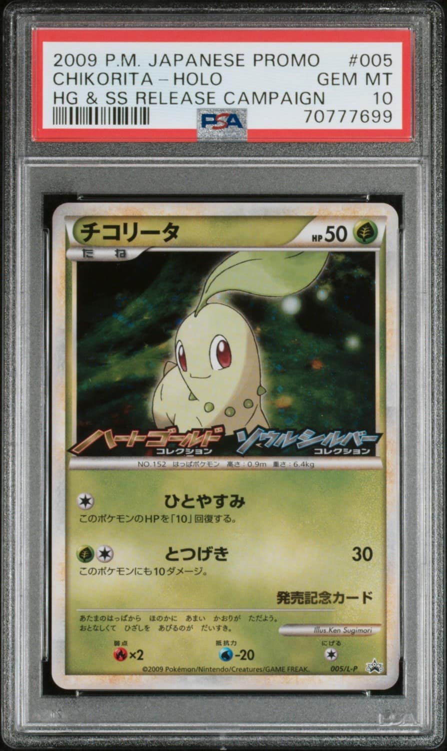 Chikorita