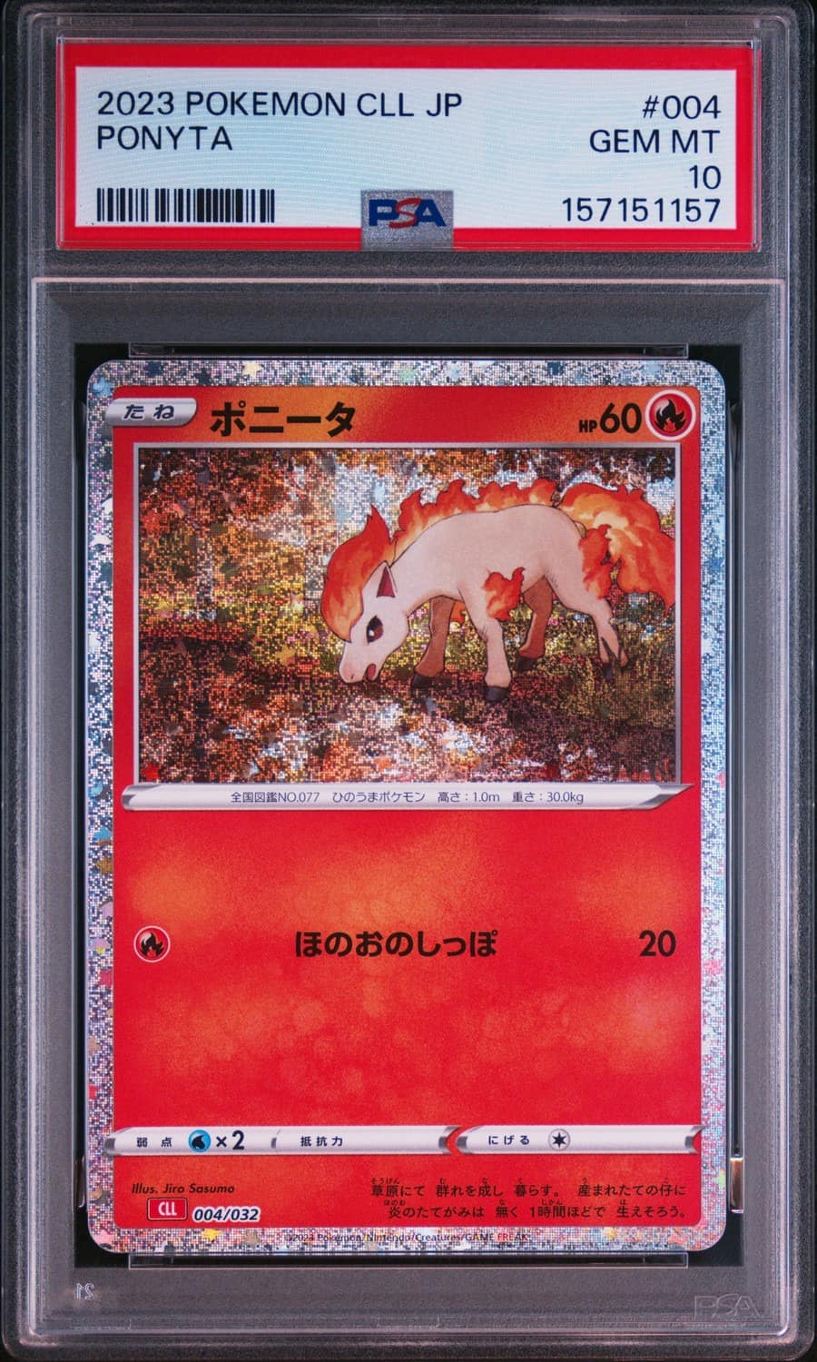 Ponyta