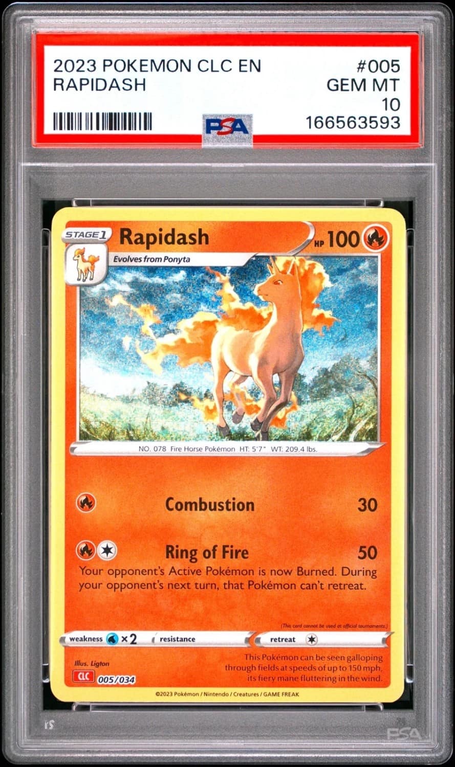 Rapidash