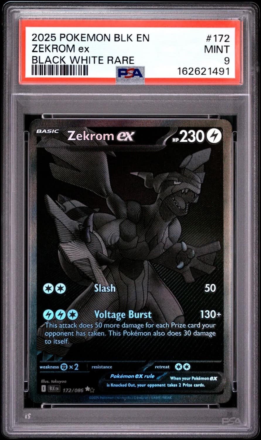 Zekrom Ex