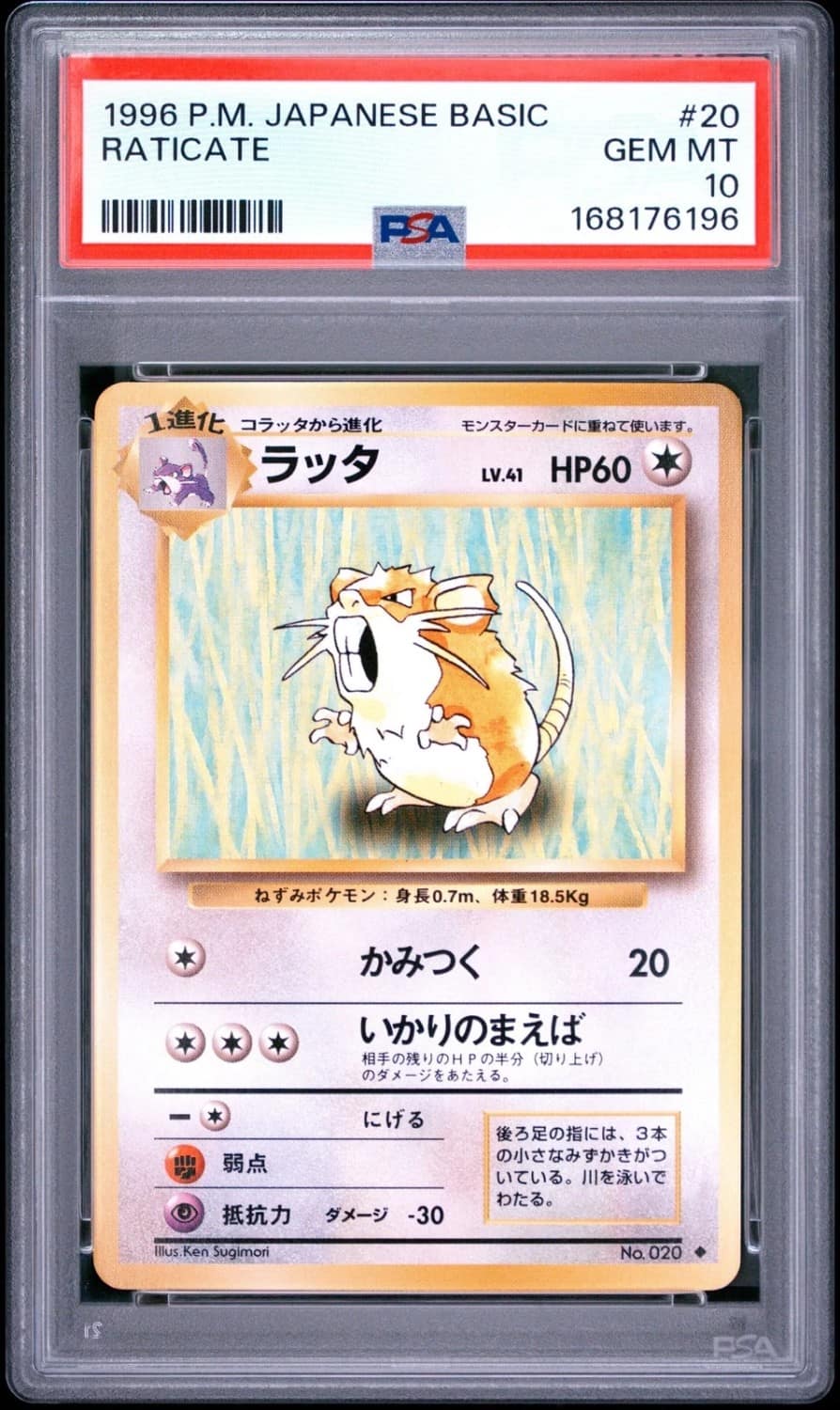Raticate