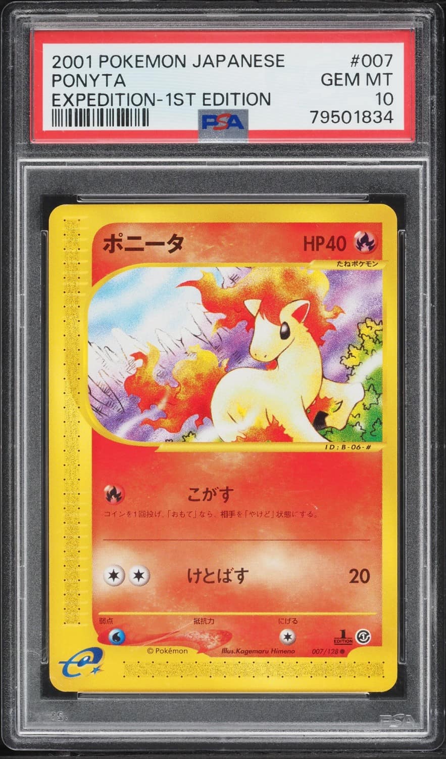 Ponyta