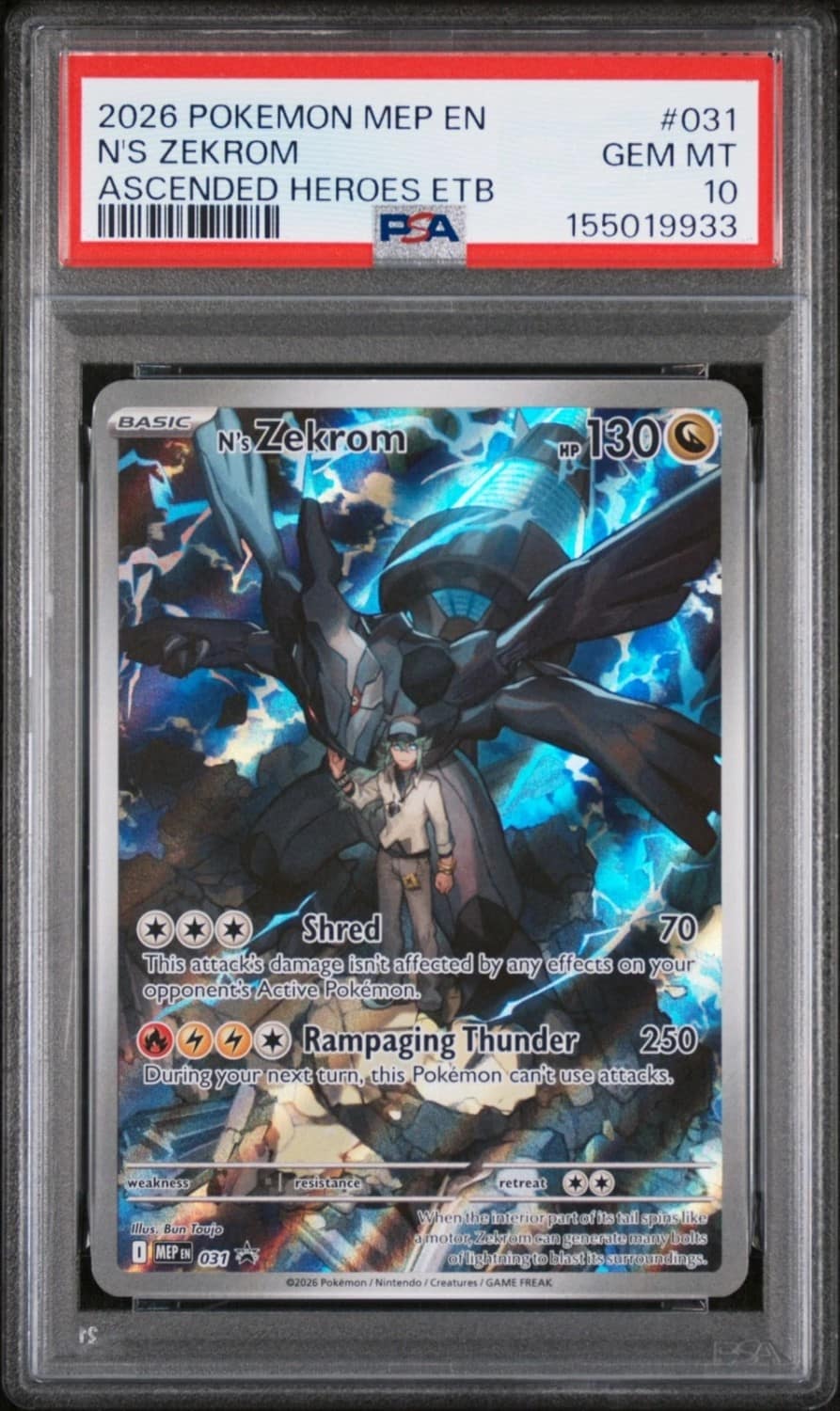 N'S Zekrom