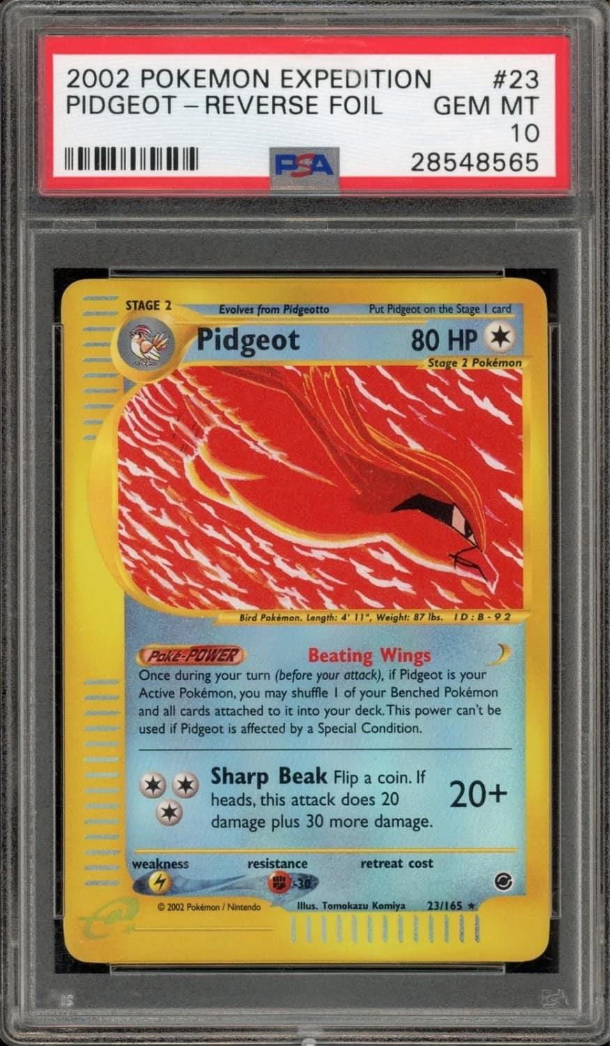Pidgeot