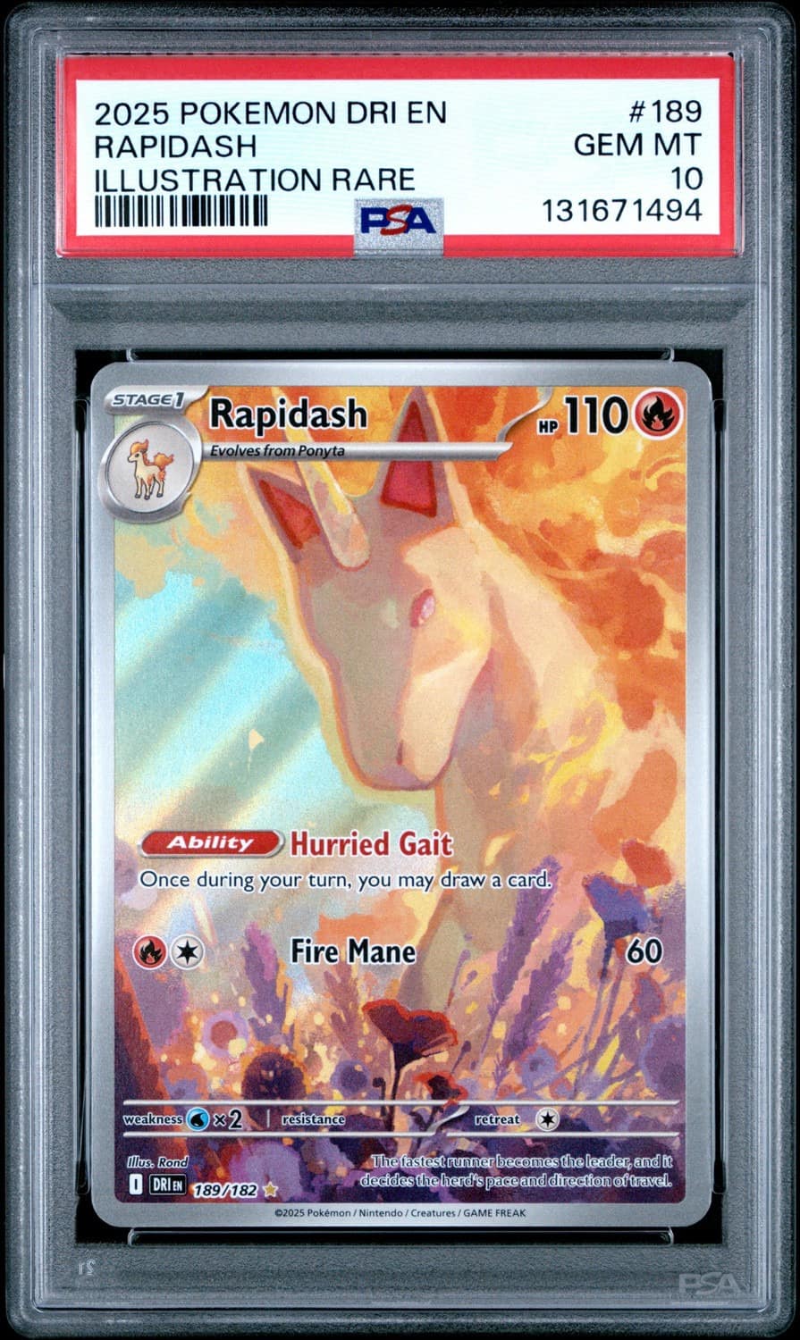 Rapidash