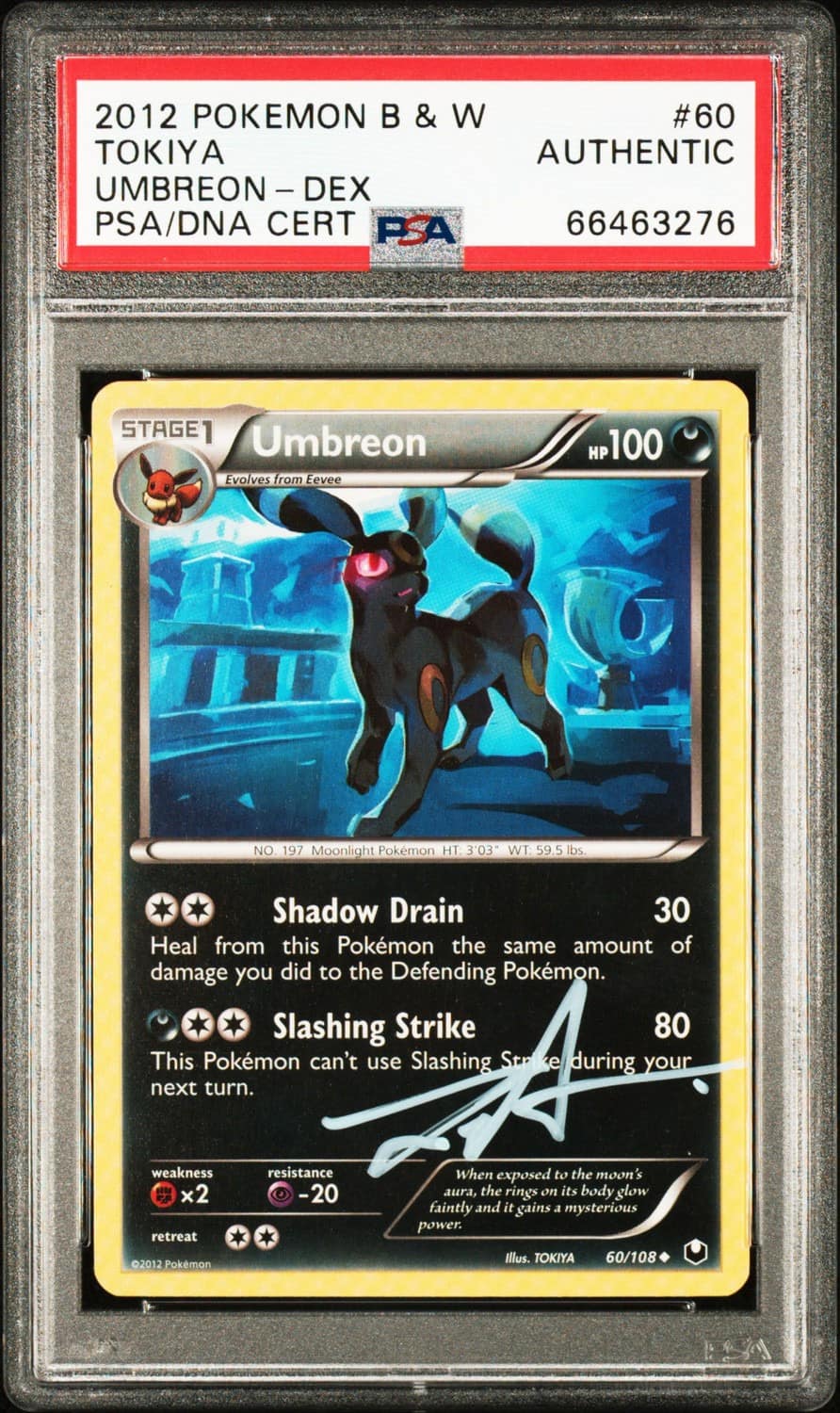 Umbreon