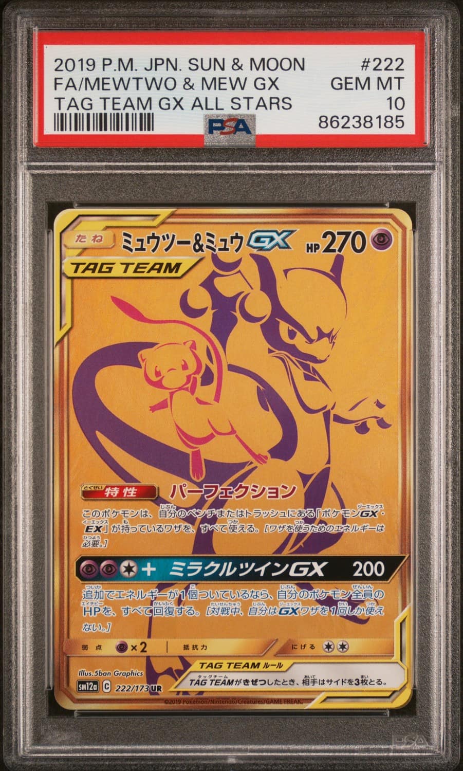 Mewtwo & Mew Gx