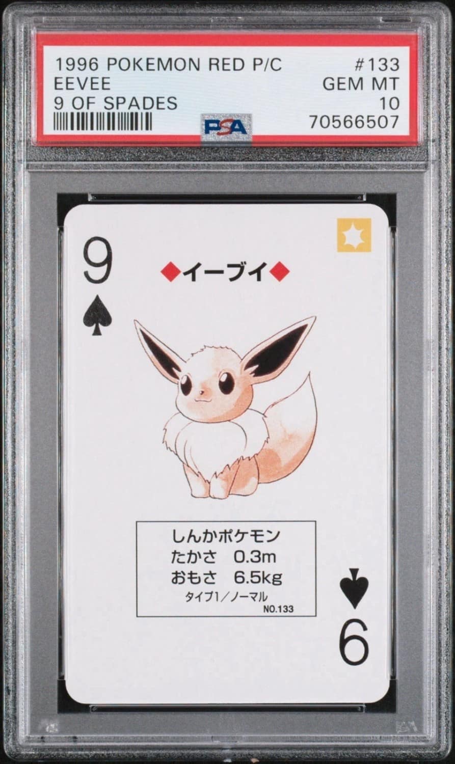 Eevee