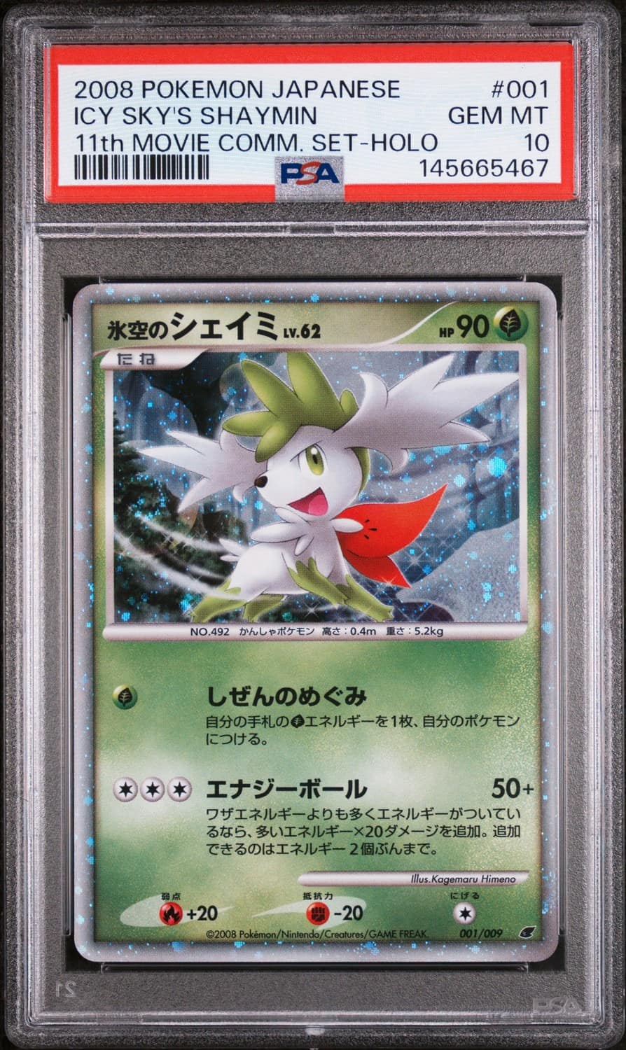 Icy Sky'S Shaymin