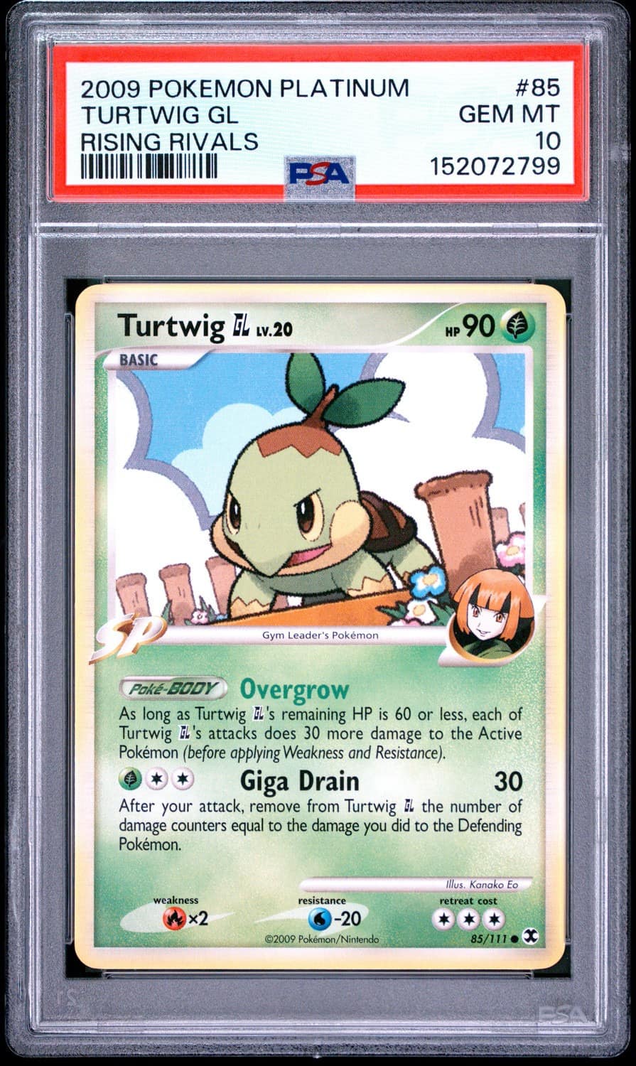 Turtwig Gl