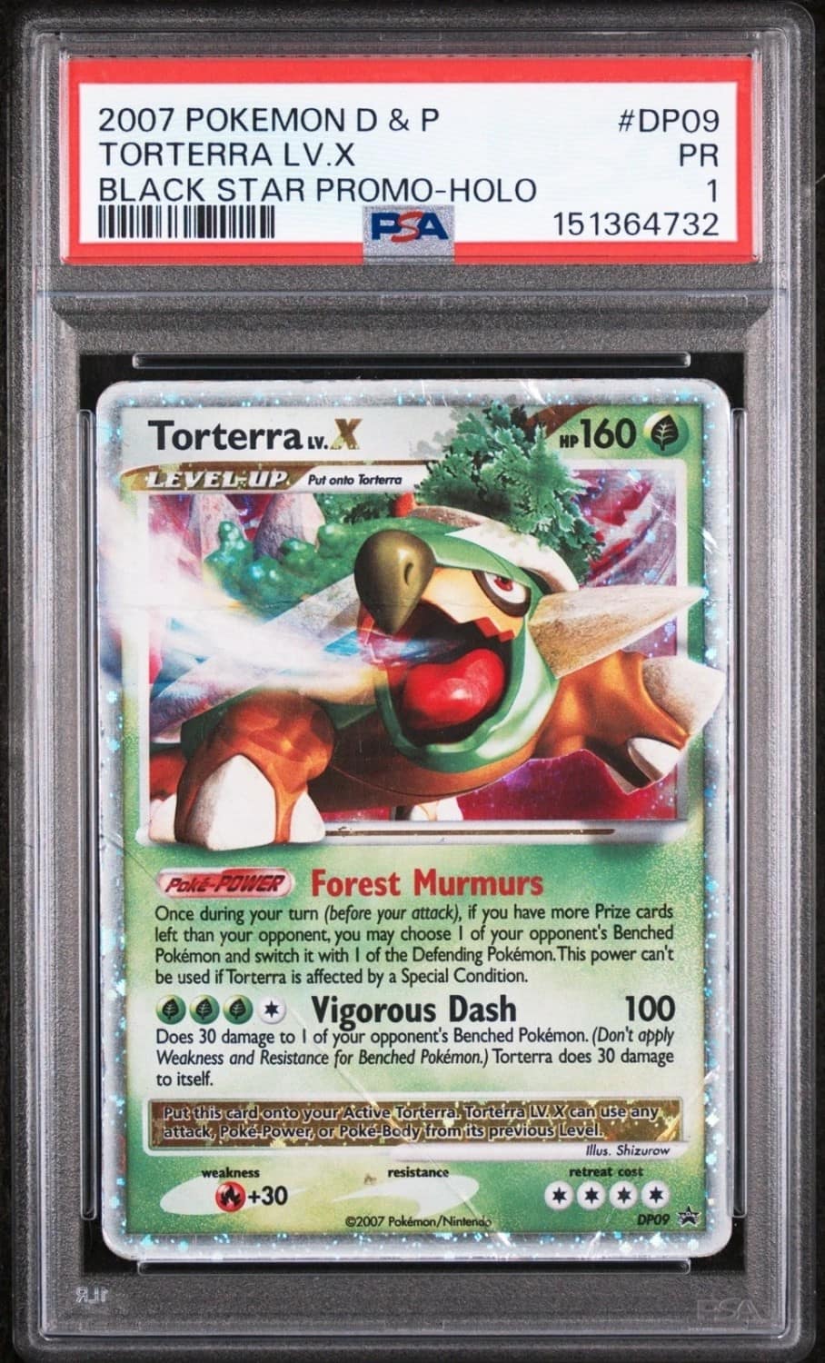 Torterra Lv.x