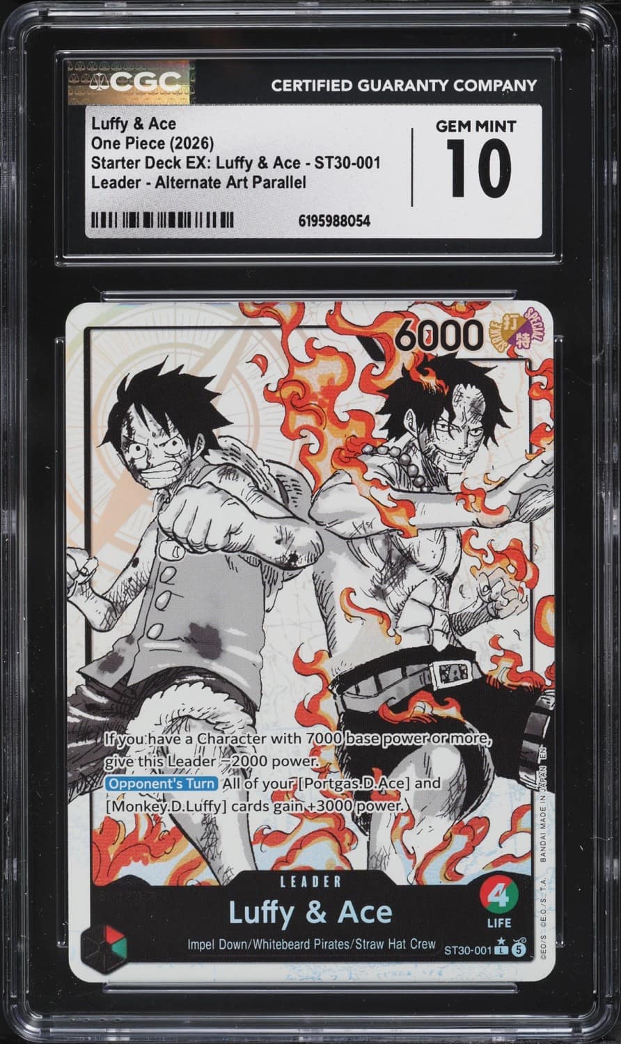 Luffy & Ace