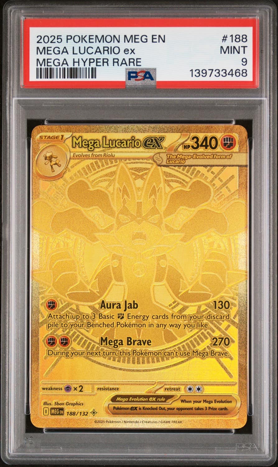 Mega Lucario Ex
