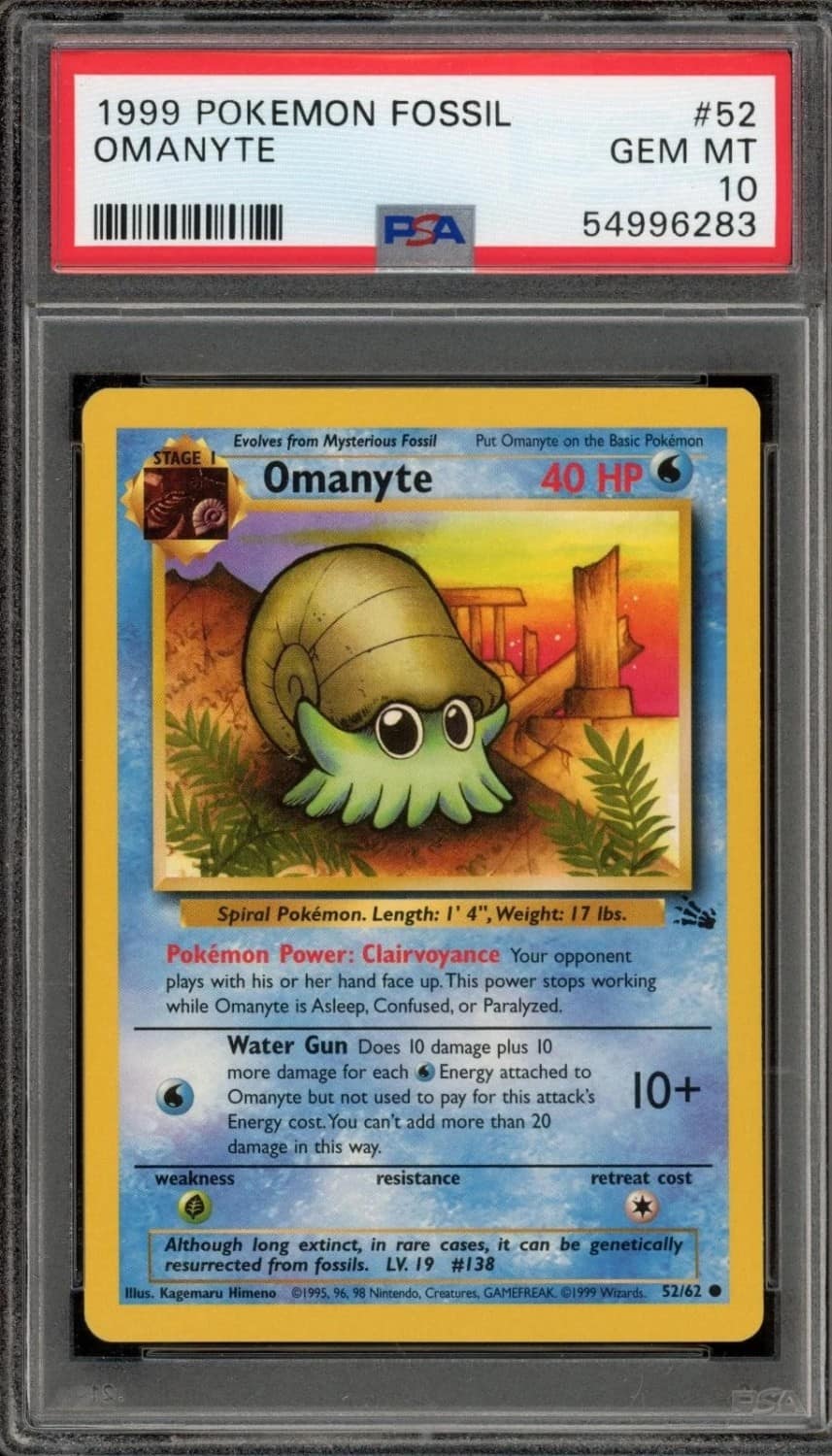 Omanyte