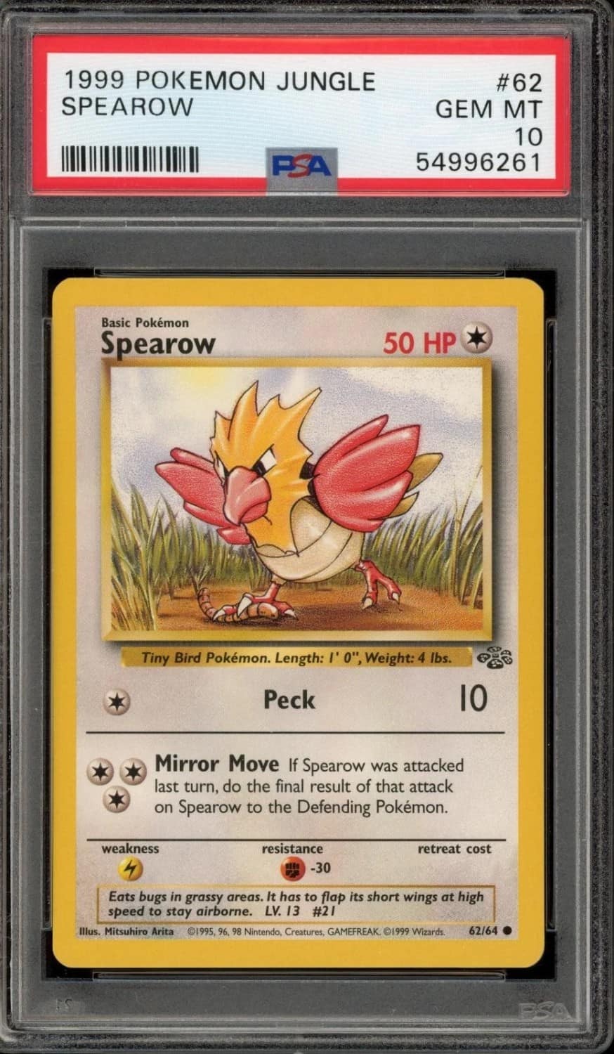 Spearow
