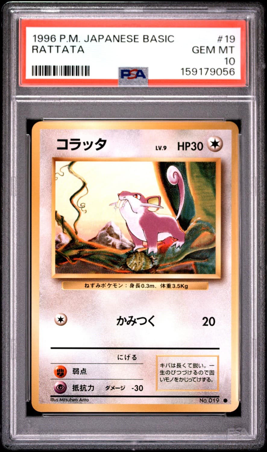 Rattata