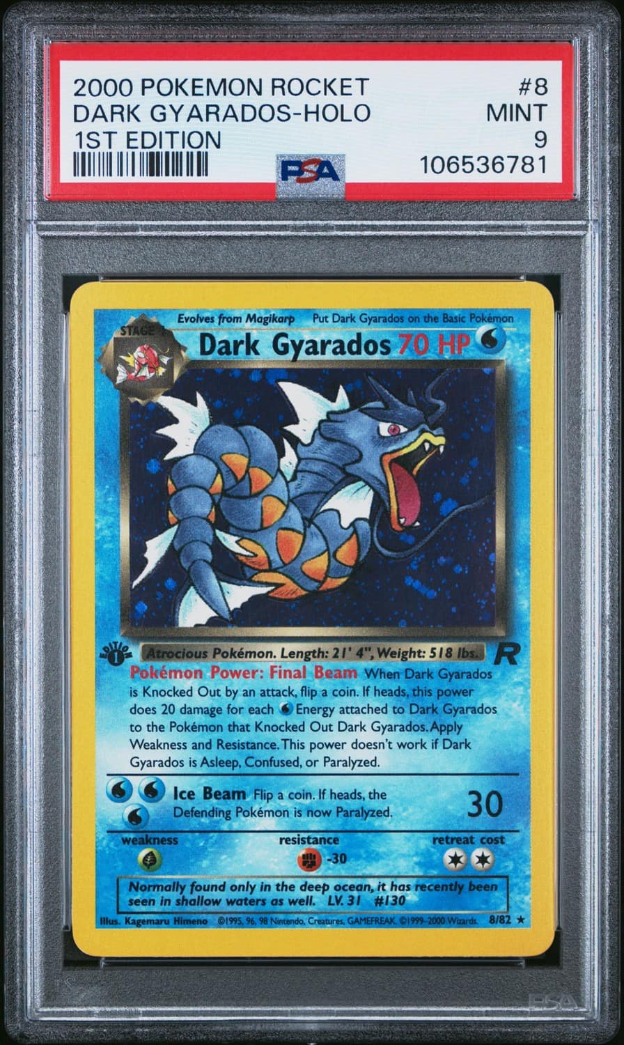Dark Gyarados