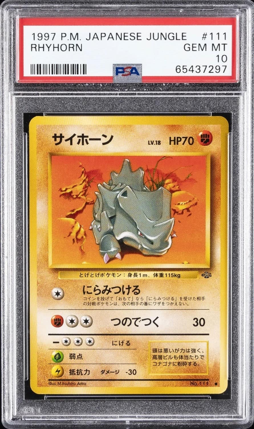 Rhyhorn