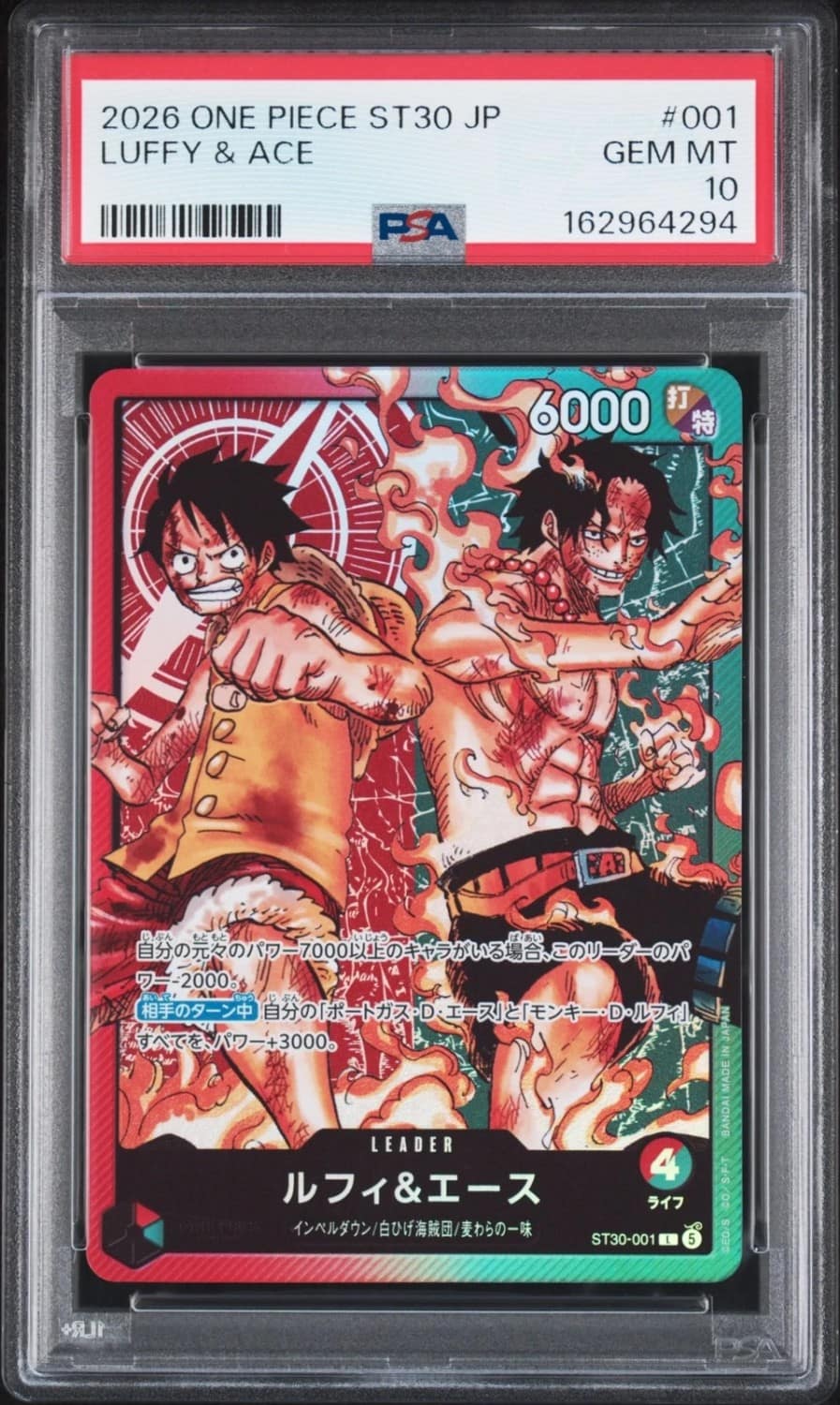Luffy & Ace