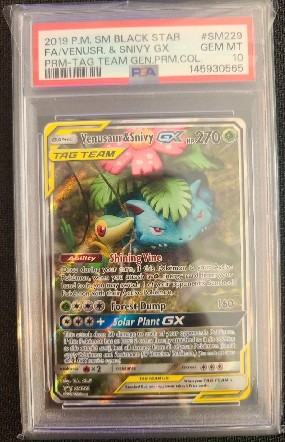 Venusaur & Snivy Gx