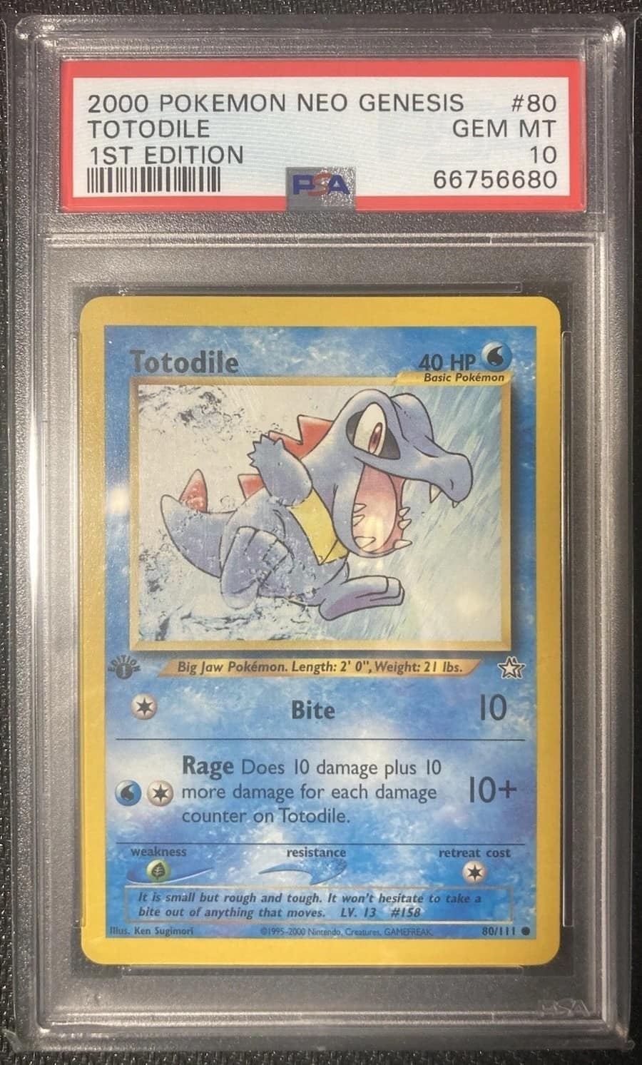 Totodile