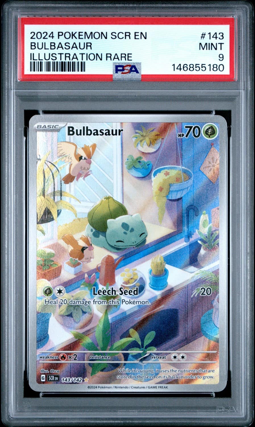 Bulbasaur