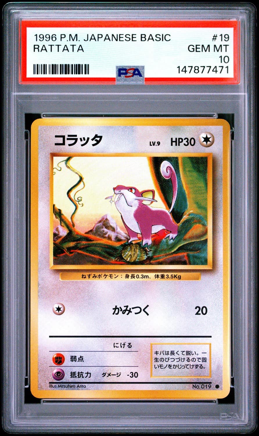 Rattata