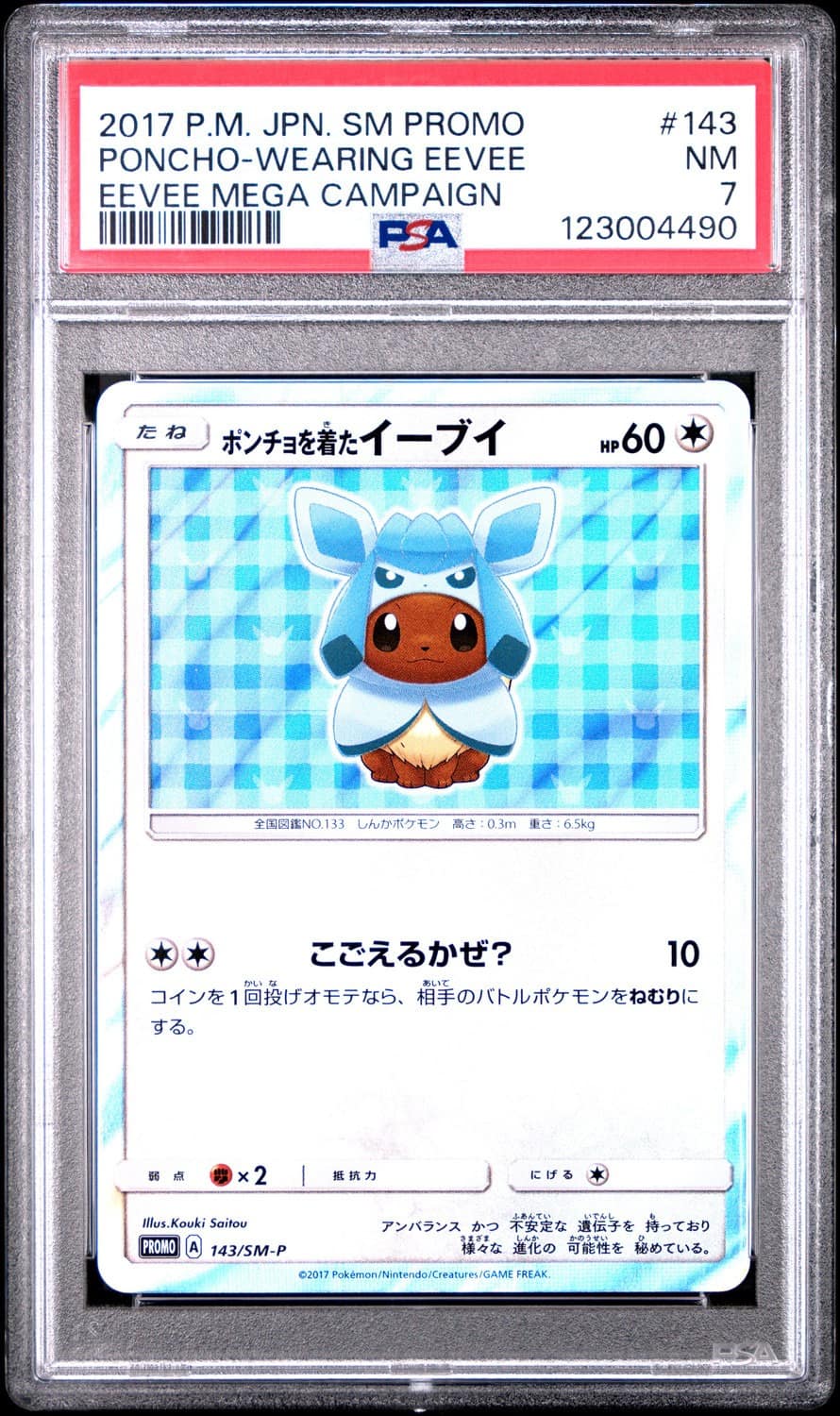 Poncho-Wearing Eevee