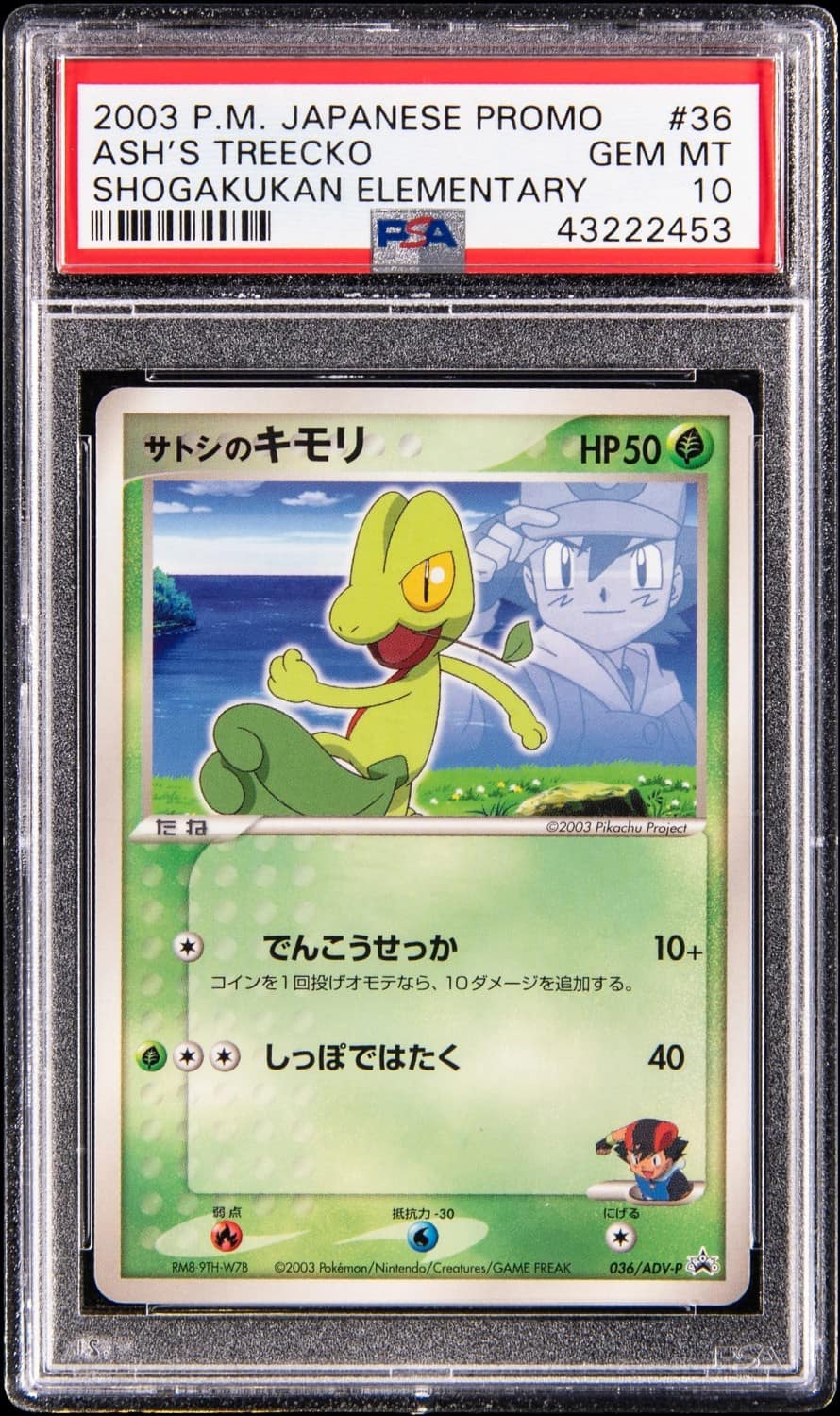 Ash'S Treecko