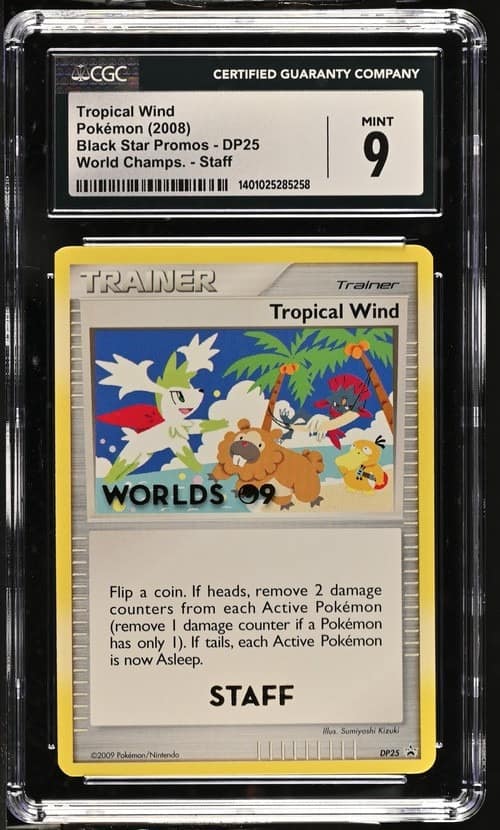 Tropical Wind
