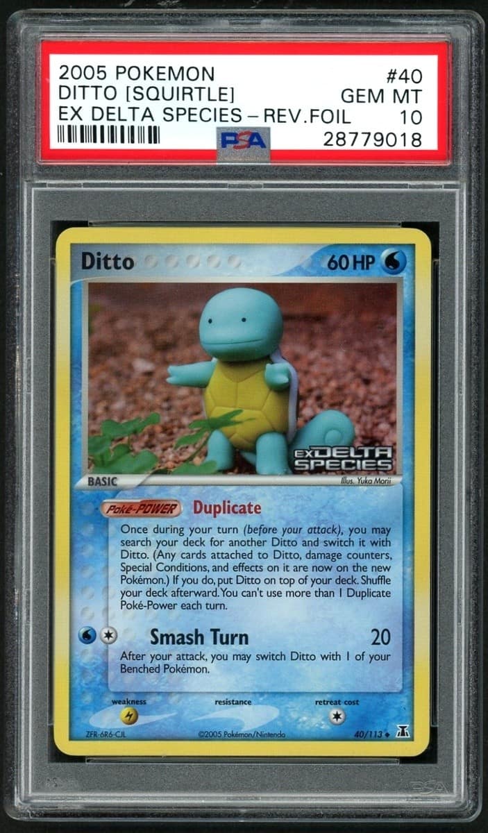 Ditto [squirtle]