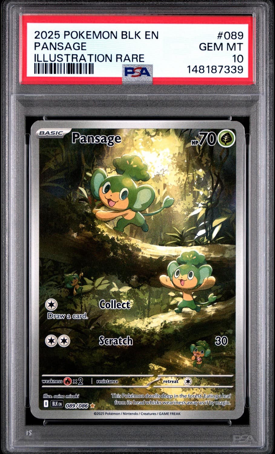Pansage