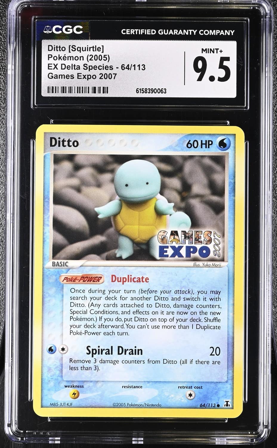 Ditto [squirtle]