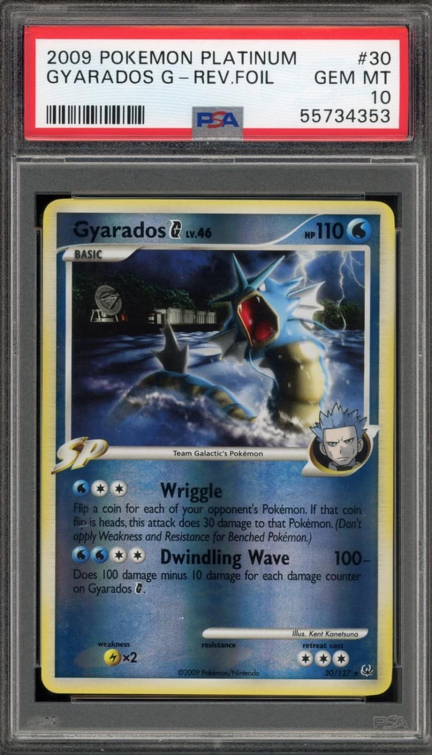 Gyarados G