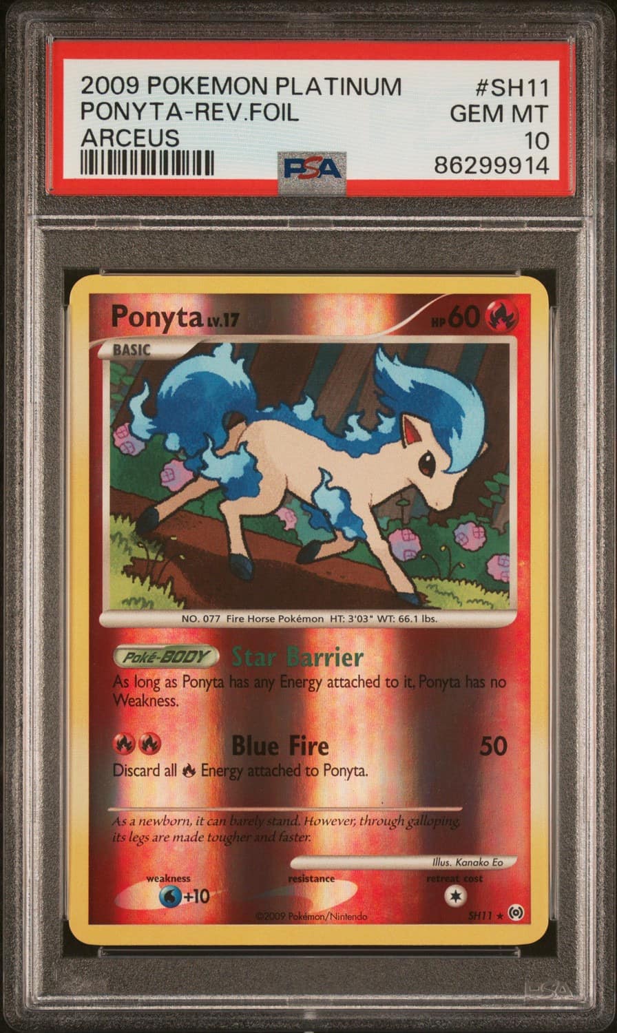 Ponyta