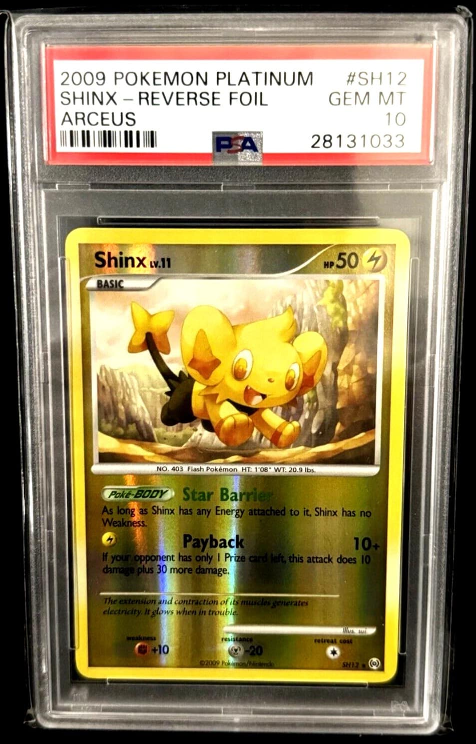 Shinx