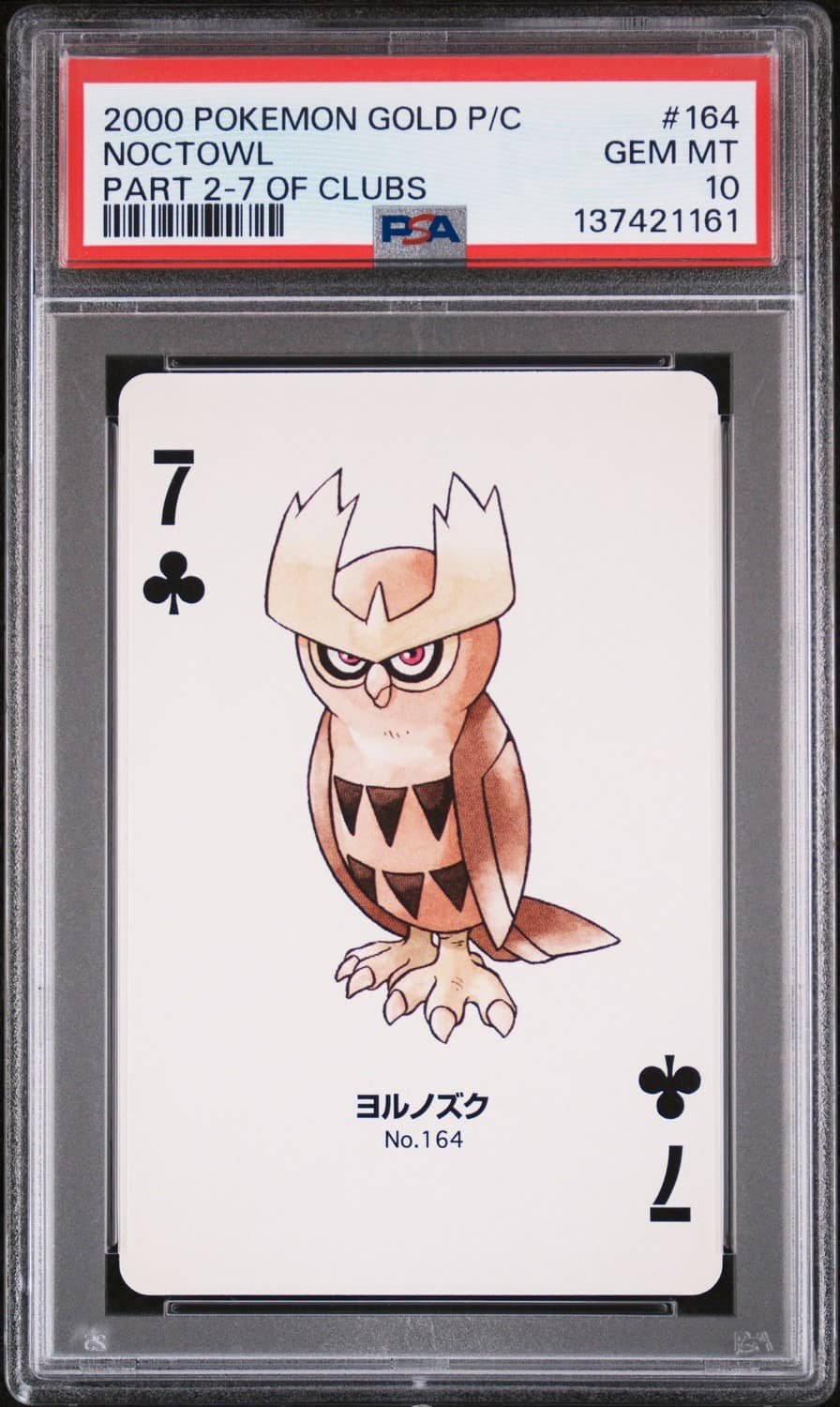 Noctowl