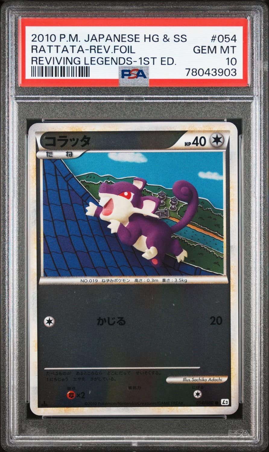 Rattata-Rev.foil