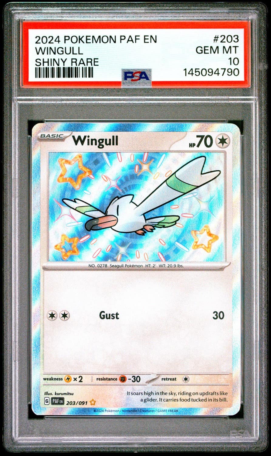 Wingull