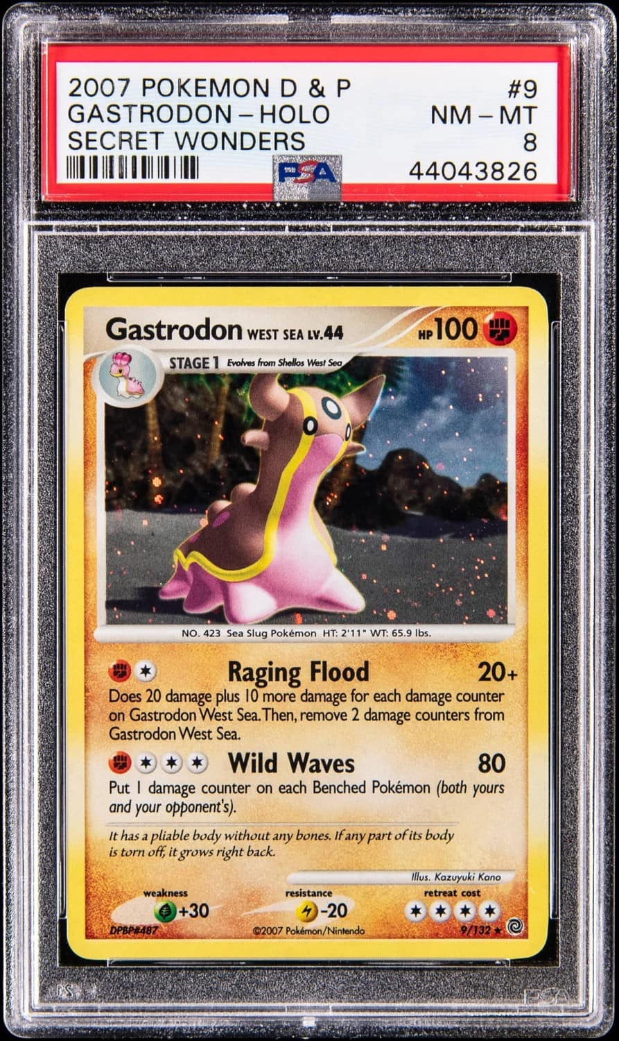 Gastrodon