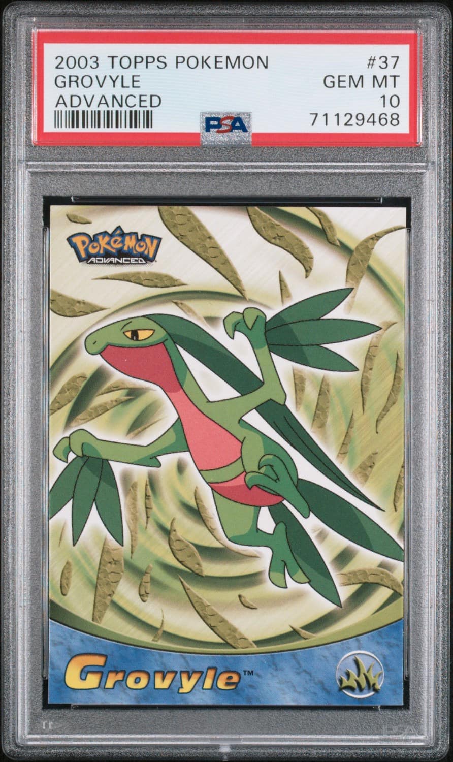 Grovyle