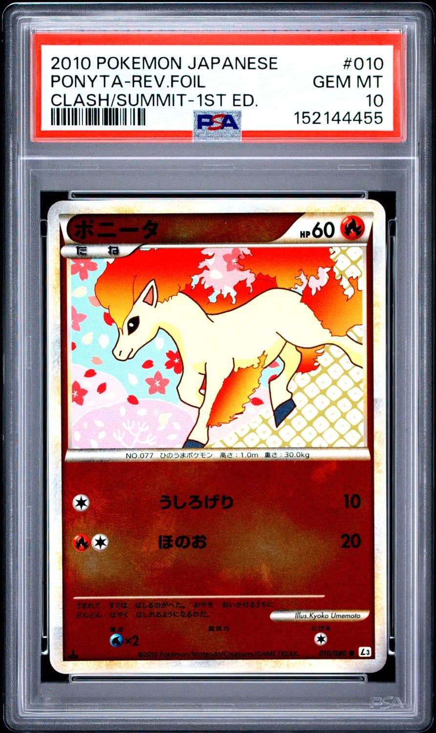 Ponyta