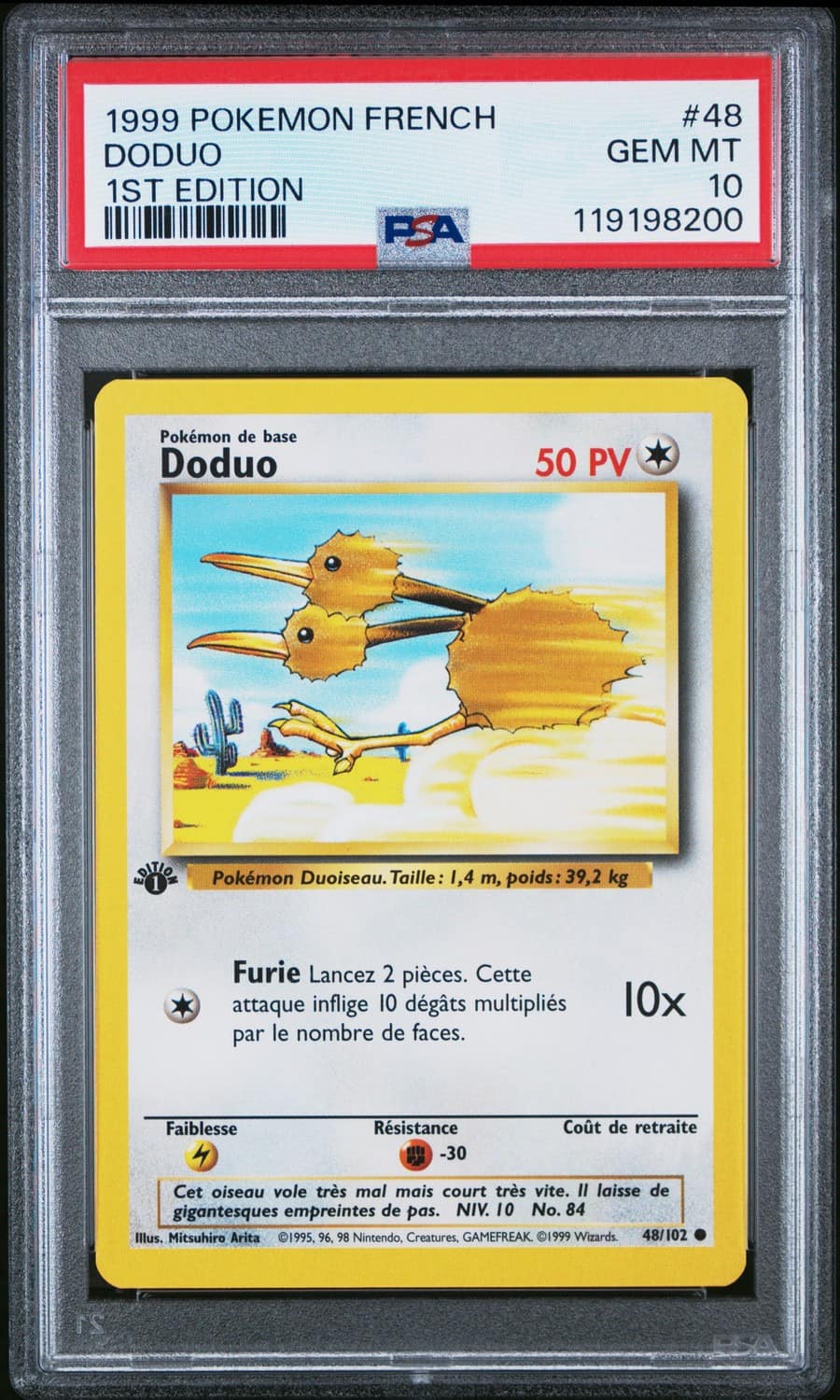 Doduo