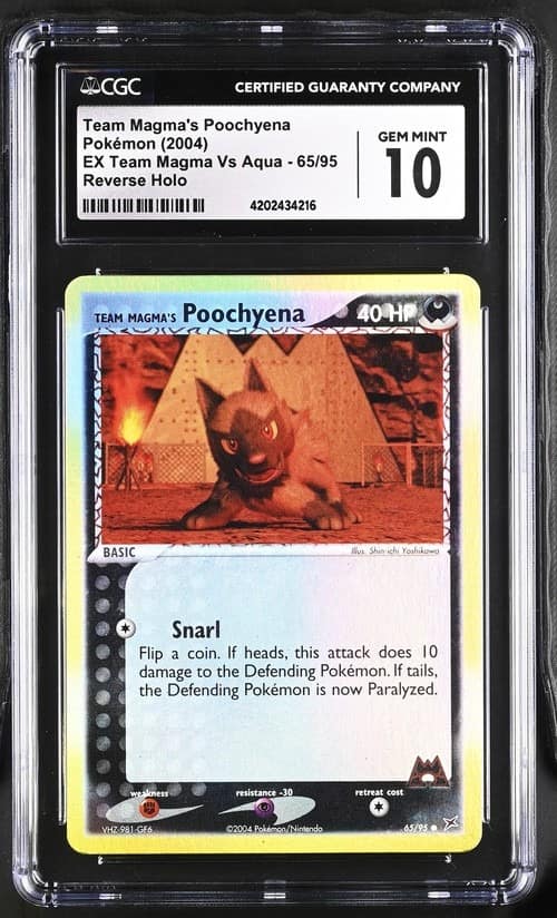Team Magma'S Poochyena