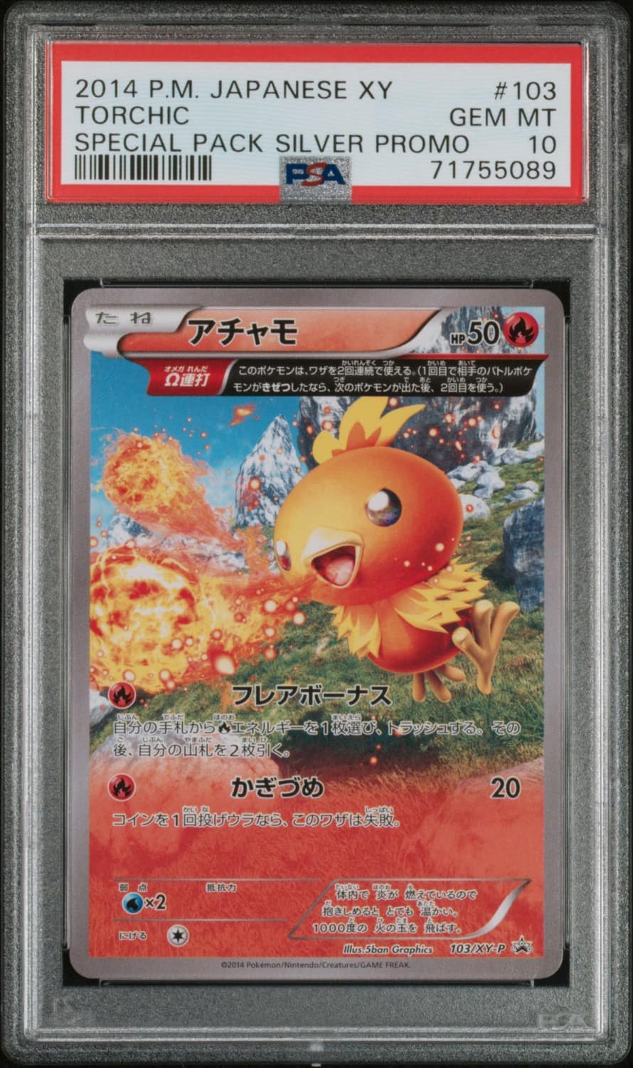 Torchic