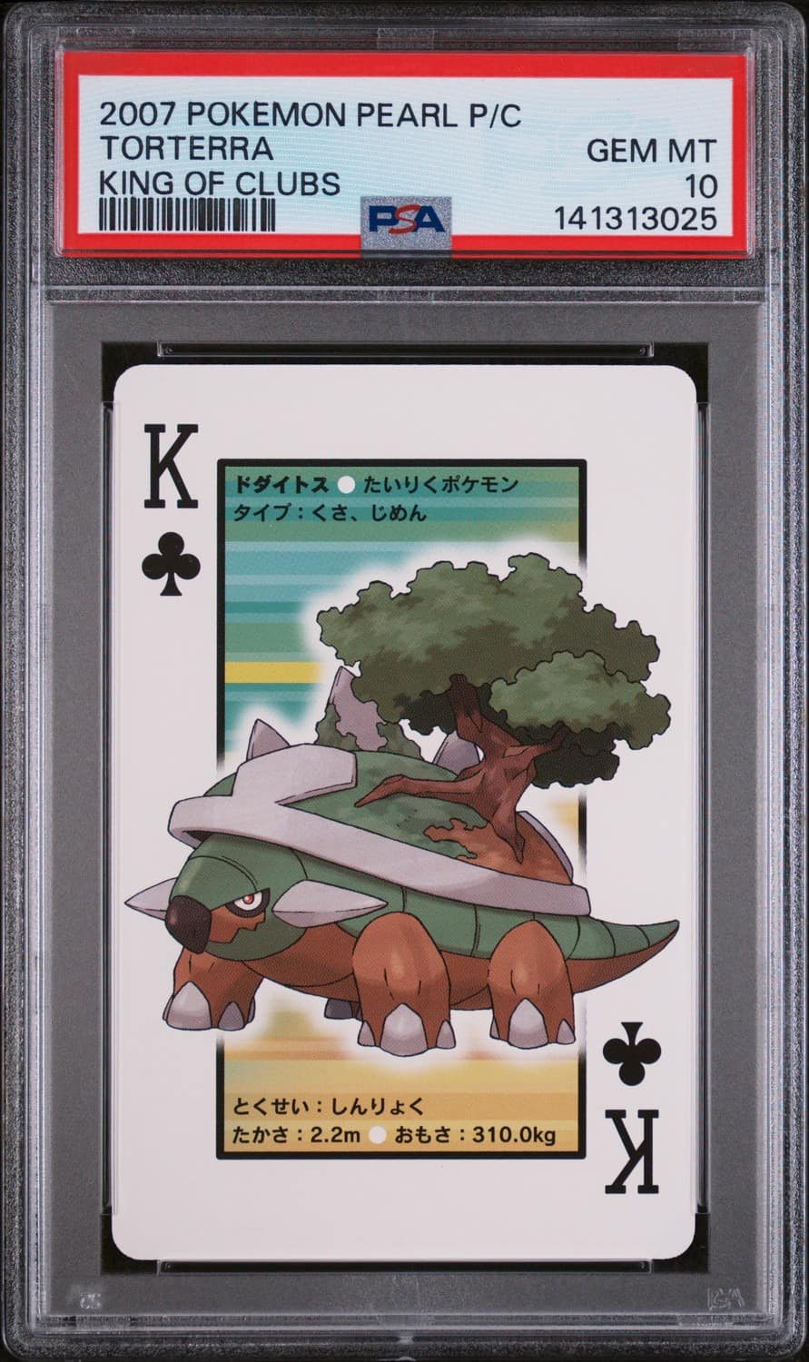 Torterra