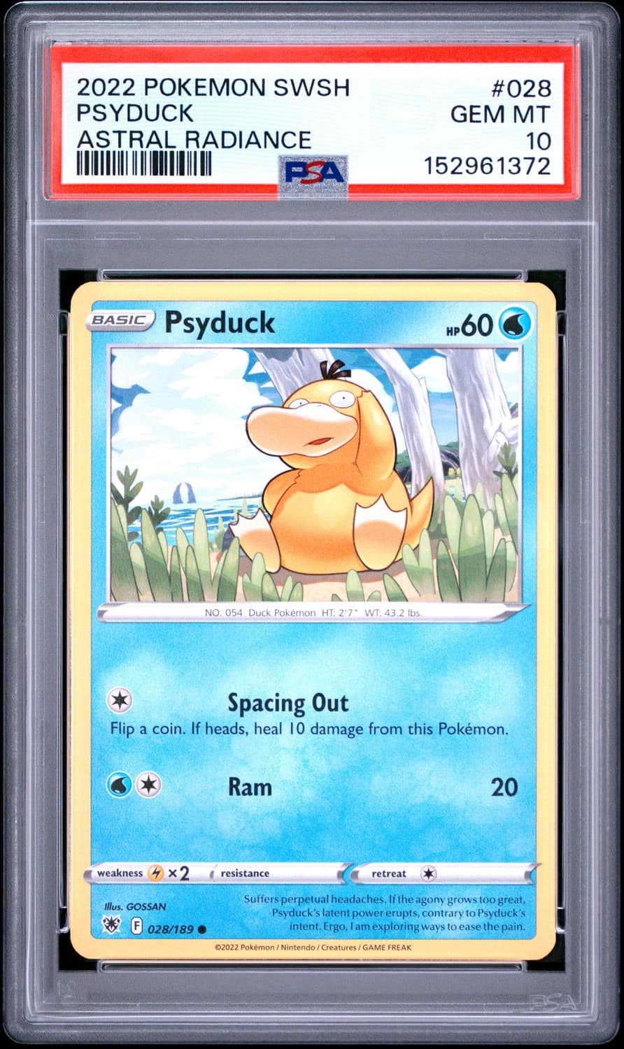 Psyduck