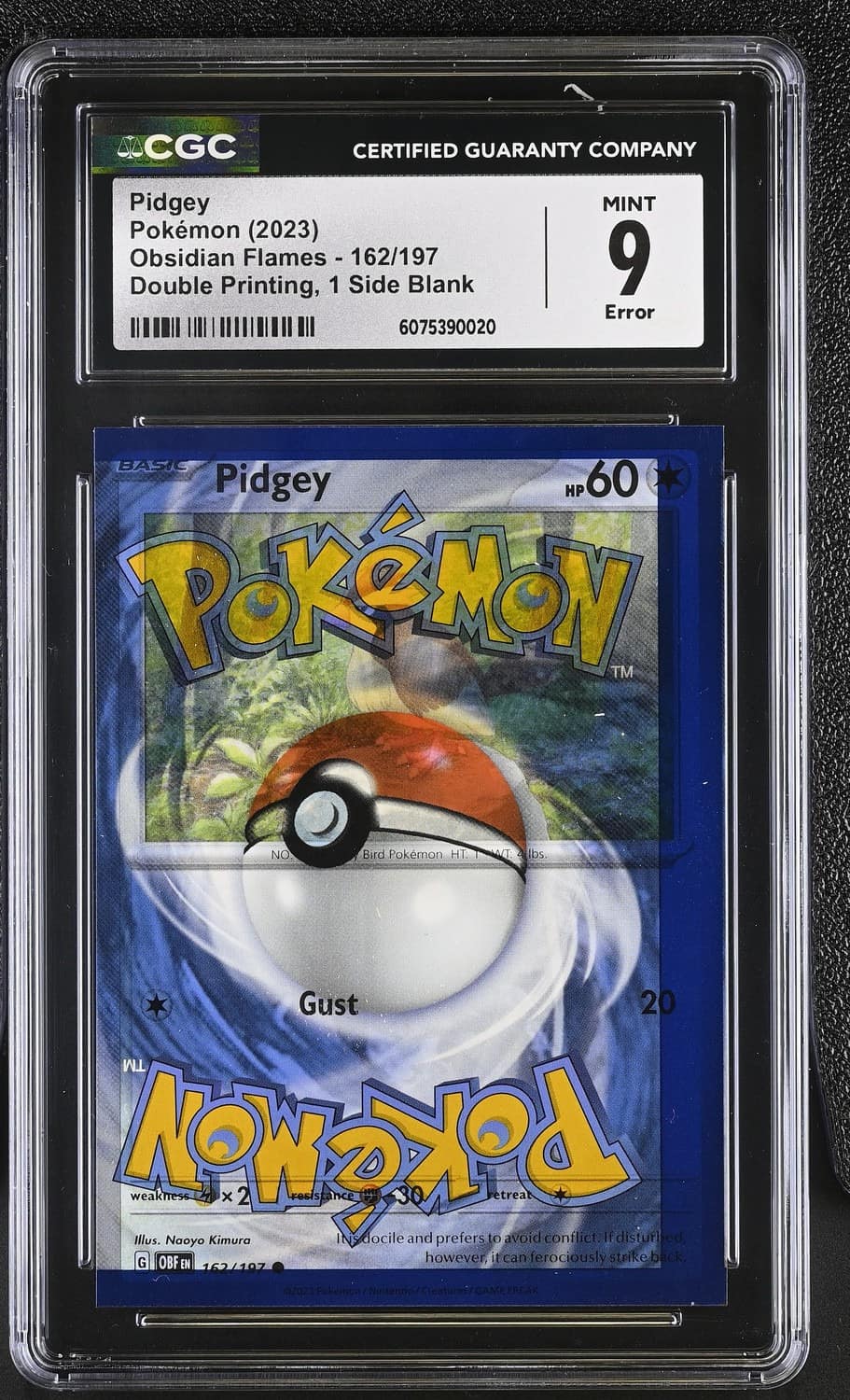 Pidgey