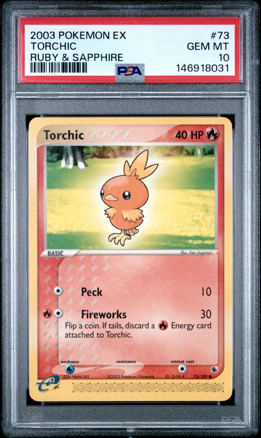 Torchic